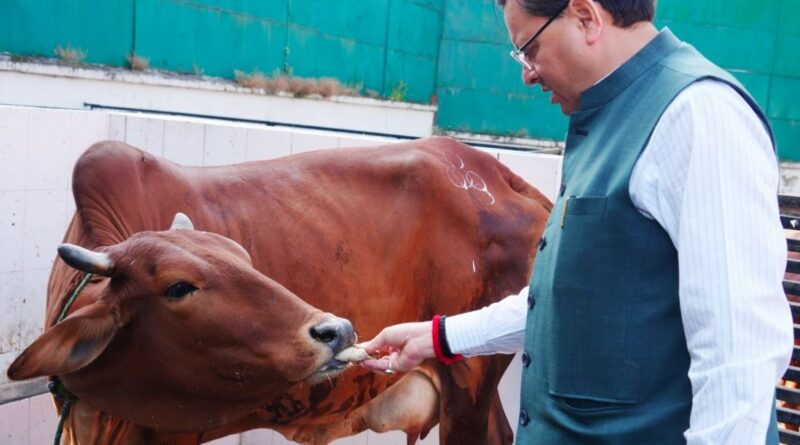 मुख्यमंत्री पुष्कर सिंह धामी ने गोवर्धन पूजा पर गौ सेवा की और जनता से भक्ति व पर्यावरण संरक्षण का संदेश दिया।