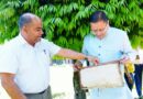 मुख्यमंत्री पुष्कर सिंह धामी ने शहद निकालने की प्रक्रिया का अवलोकन किया।