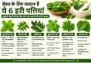 सेहत के लिए किसी वरदान से कम नहीं हैं ये 6 हरी पत्तियां, इम्यूनिटी बढ़ाने से लेकर दिल और पाचन तक को मिलता है फायदा