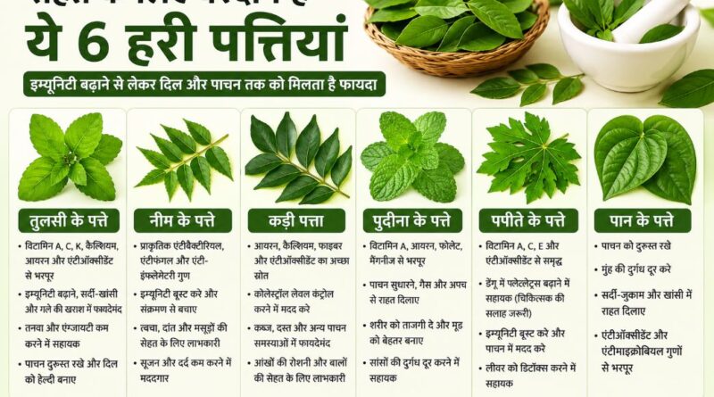 सेहत के लिए किसी वरदान से कम नहीं हैं ये 6 हरी पत्तियां, इम्यूनिटी बढ़ाने से लेकर दिल और पाचन तक को मिलता है फायदा